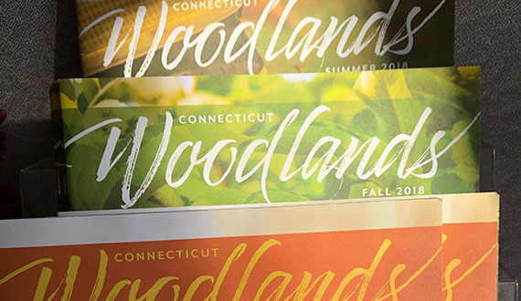 CT Woodlands Archive
