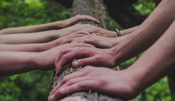 Join, Renew or Give Membership