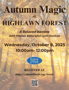 The flier for the Autumn Magic Ramble. The details are displayed on top of a photo of a trail in the fall.